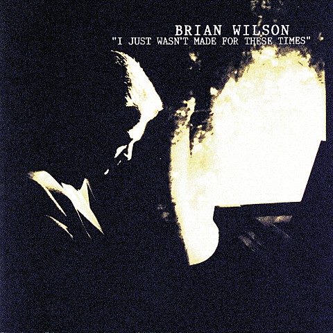 'Til I Die - Brian Wilson ('Til I Die - Brian Wilson) 커버 이미지