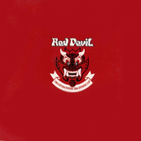 Into The Arena - 붉은악마 (INTO The Arena - Red devil) 커버 이미지