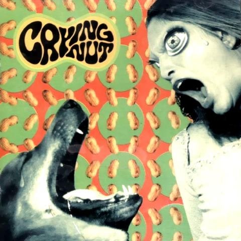 펑크걸 - 크라잉넛(CRYING NUT) (Punk girl - Crying Nut) 커버 이미지