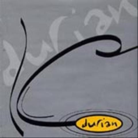 조금씩 조금씩 - 두리안 (Little by little - Durian) 커버 이미지