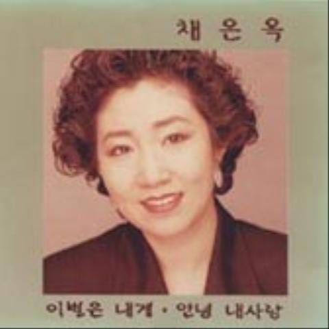 빗물 - 채은옥 (rainwater - Chae Eun  ok) 커버 이미지