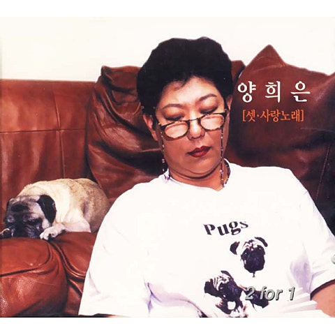 비처럼 음악처럼 - 양희은 (Like music like music - Yang Hee  eun) 커버 이미지