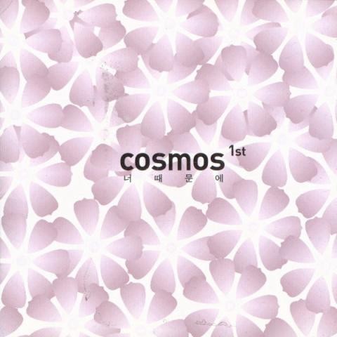 너때문에 - 코스모스 (Because of you - cosmos) 커버 이미지