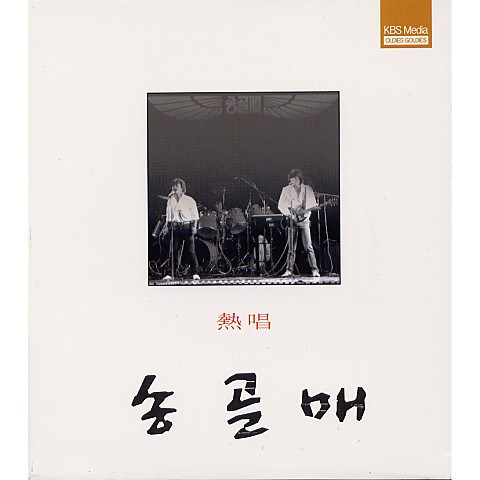 나그네들의 축제 - 송골매 (The festivals of the strangers - Policity) 커버 이미지