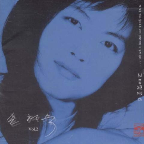 멈추지 않는 눈물 - 손현숙 (Tears that do not stop - Son Hyun Sook) 커버 이미지