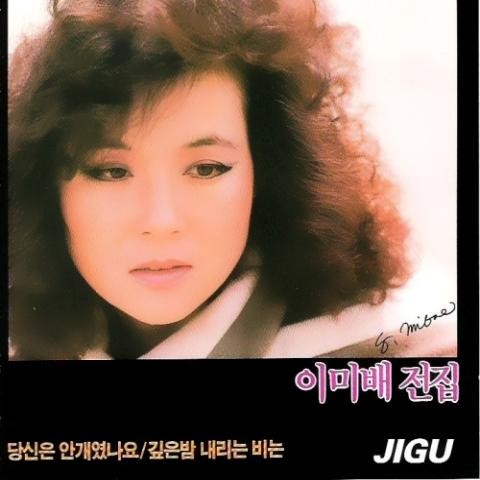 눈이 내리네 - 이미배 (Snow falls - Plane) 커버 이미지