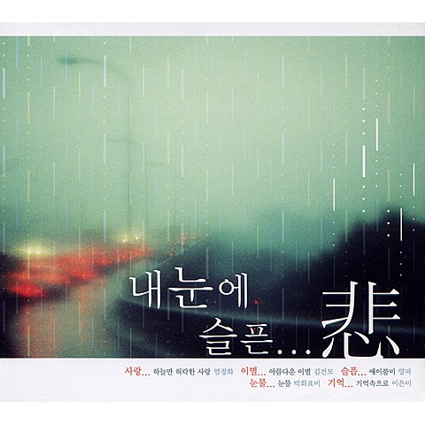 하늘만 허락한 사랑 - 엄정화 (Love that only the sky permits - Uhm Jung  hwa) 커버 이미지