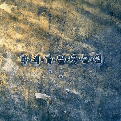 우리들은 미남이다 - 동물원 (We are handsome - zoo) 커버 이미지