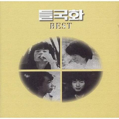 행진 - 들국화 (march - Wild chrysanthemum) 커버 이미지