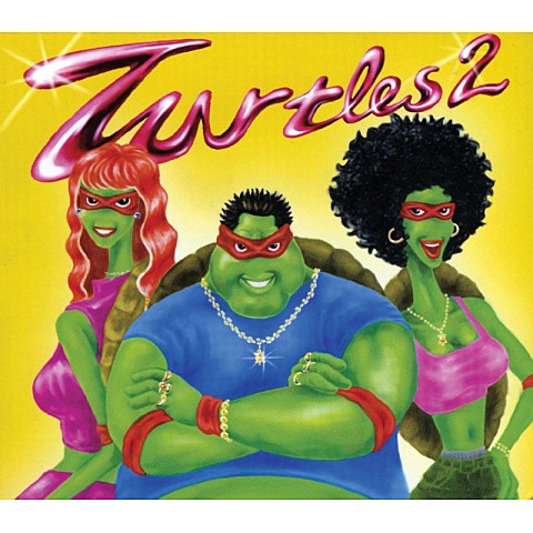 왜이래 (Remix) - 거북이 (Why is this (Remix) - turtle) 커버 이미지