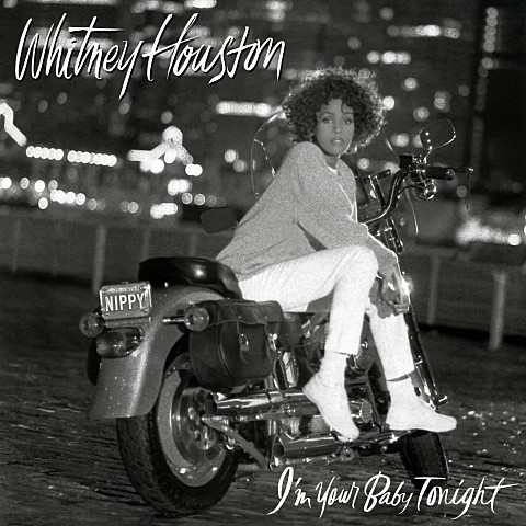 We Didn't Know - Whitney Houston (Weidn't Know - Whitney Houston) 커버 이미지