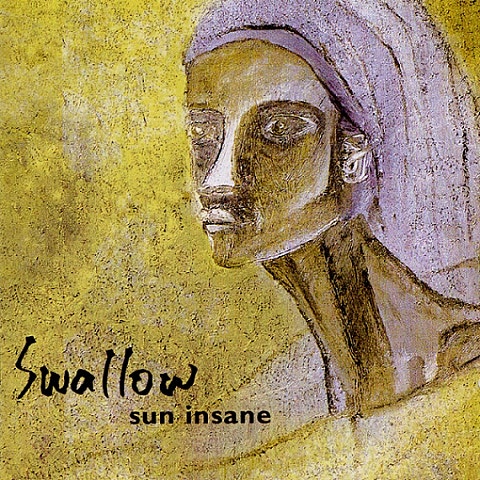 몇 가지 오해들 - 스왈로우(Swallow) (Some misconceptions - Swallow) 커버 이미지