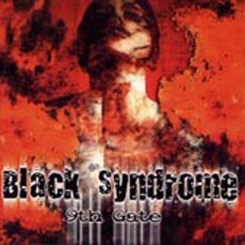 Fly Away - 블랙 신드롬 (Fly Away - Black syndrome) 커버 이미지