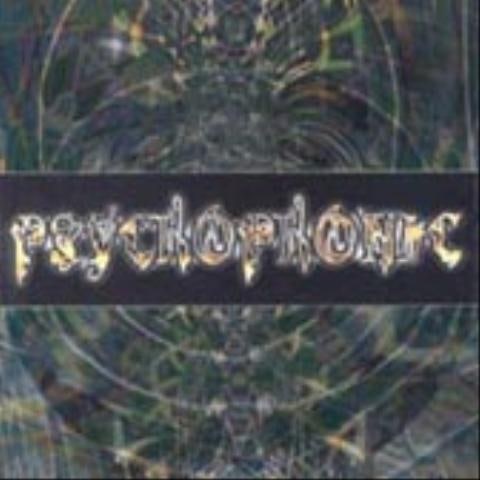 성난 개구리가 길에서 만난 수레를 받다 - 싸이코포닉 (Psychophonic) (Get a wagon on the road - Psychophonic) 커버 이미지