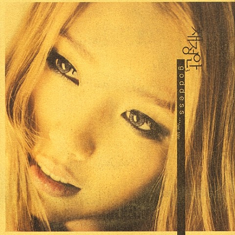경고 (Warning) - 채정안 (Warning - Chae Jung  an) 커버 이미지