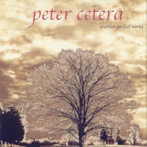 Feels Like Rain - Peter Cetera (Feels Like Rain - Peter cetera) 커버 이미지