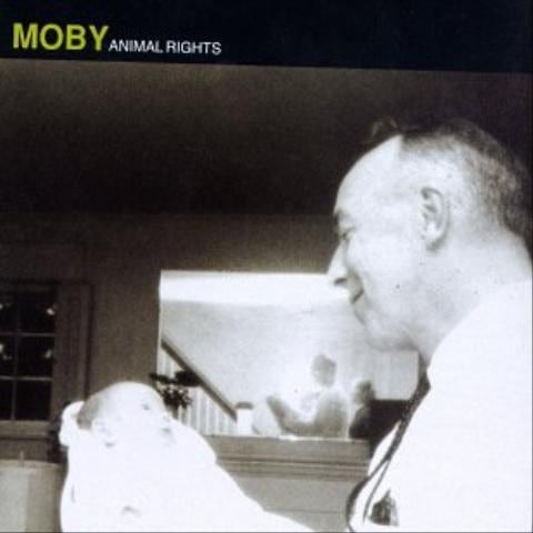 Say It's All Mine - Moby (SAY IT's All Mine - Moby) 커버 이미지
