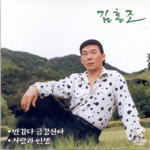 반갑다 금강산아 - 김홍조 (Nice to meet you Geumgangsan - Hongjo Kim) 커버 이미지