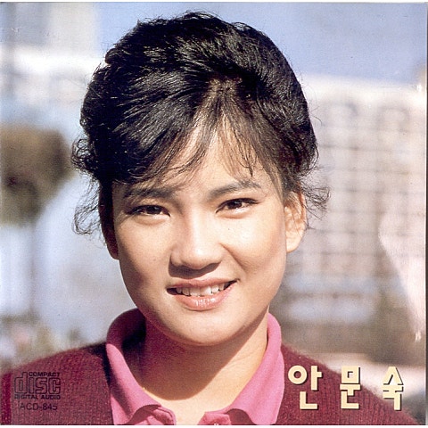 내마음 당신곁으로 - 안문숙 (With my heart - Ahn Moon  suk) 커버 이미지